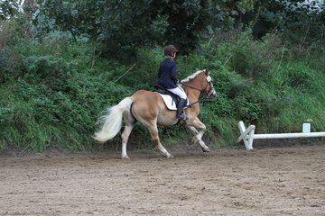 Bild 1030 - WBO-Turnier am 18.9.11